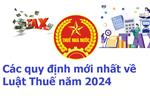 Các quy định mới nhất về Luật Thuế năm 2024