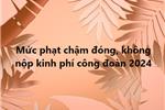  Mức phạt chậm đóng, không nộp kinh phí công đoàn 2024