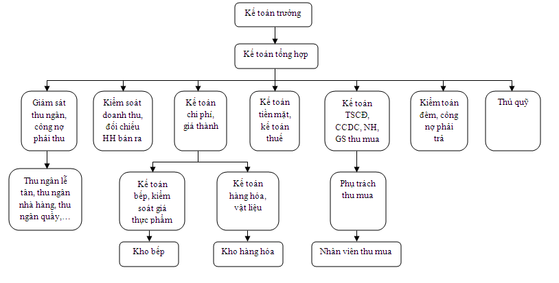 sơ đồ tổ chức bộ máy kế toán khách sạn và công việc cụ thể từng bộ phận