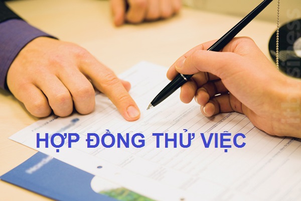 Hợp đồng thử việc có phải đóng bảo hiểm xã hội trong thời gian thử việc không?