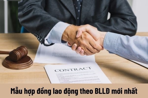 Tổng hợp các mẫu hợp đồng lao động theo Bộ luật Lao động mới nhất?